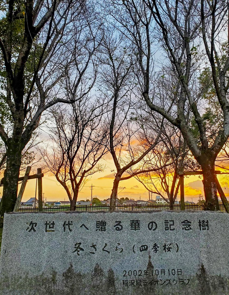 稲沢公園、紅葉、11月秋、愛知県稲沢市の観光・撮影スポットの画像と写真