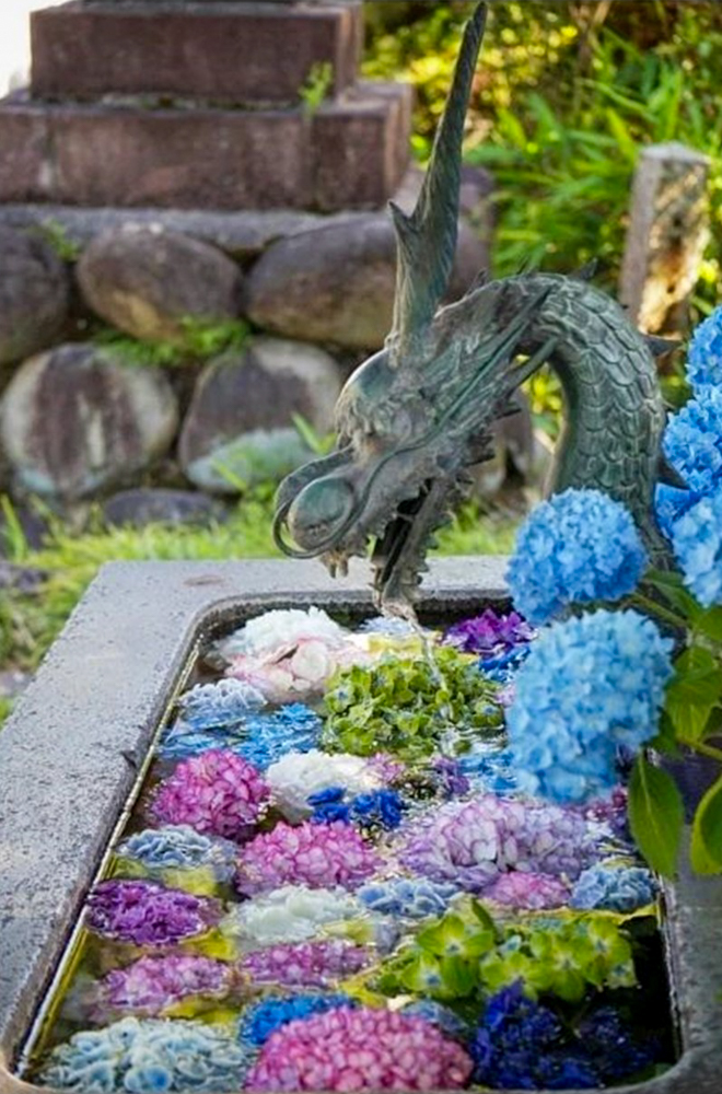 籠守勝手神社、花手水舎、あじさい、6月夏、愛知県一宮市の観光・撮影スポットの名所