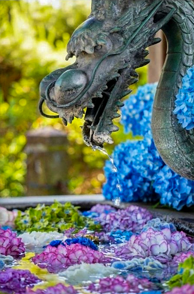 籠守勝手神社、花手水舎、あじさい、6月夏、愛知県一宮市の観光・撮影スポットの名所