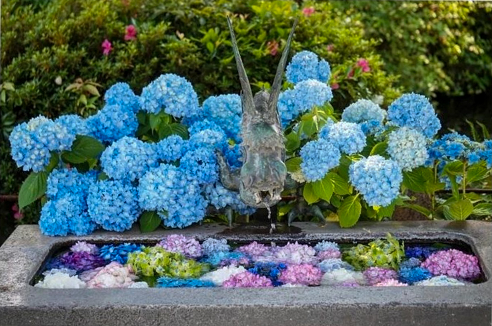 籠守勝手神社、花手水舎、あじさい、6月夏、愛知県一宮市の観光・撮影スポットの名所