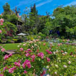 花遊庭、5月の夏の花、愛知県豊田市の観光・撮影スポットの画像と写真