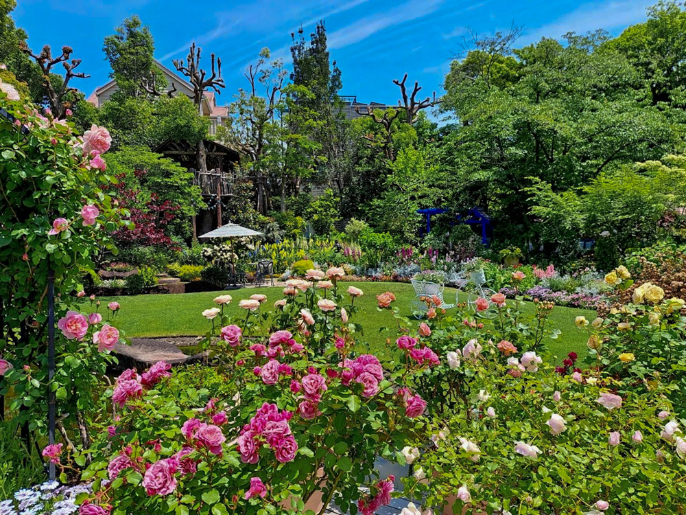 花遊庭、5月の夏の花、愛知県豊田市の観光・撮影スポットの画像と写真