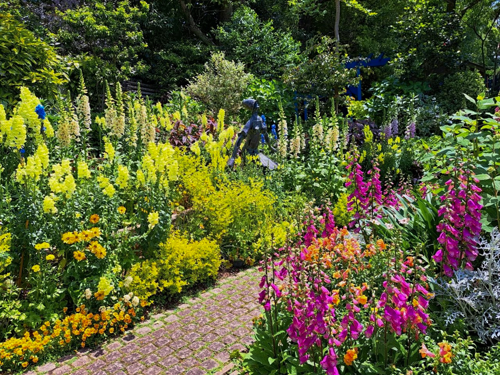 花遊庭、5月の夏の花、愛知県豊田市の観光・撮影スポットの画像と写真