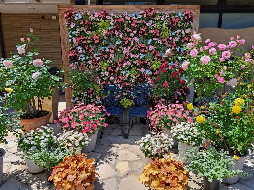 花遊庭、5月の夏の花、愛知県豊田市の観光・撮影スポットの画像と写真