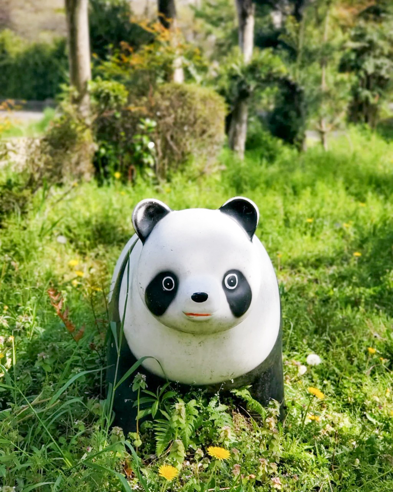 乙姫公園、3月春の花、愛知県一宮市の観光・撮影スポットの名所