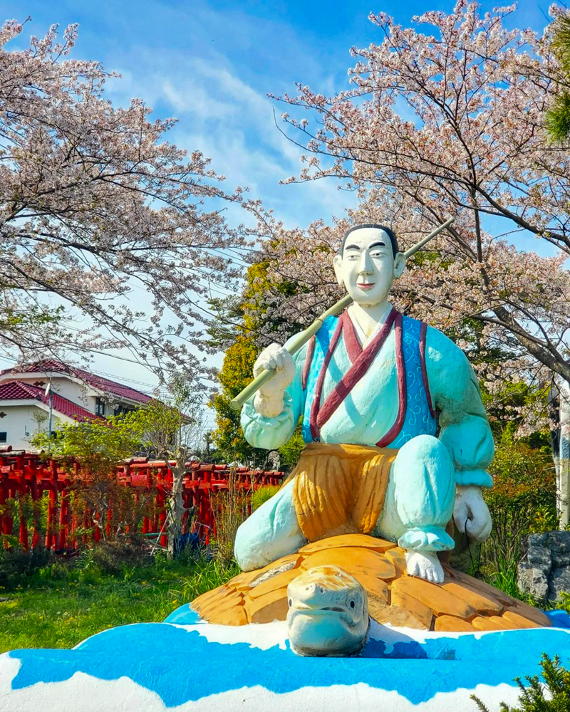 乙姫公園、桜、浦島伝説、3月春の花、愛知県一宮市の観光・撮影スポットの名所