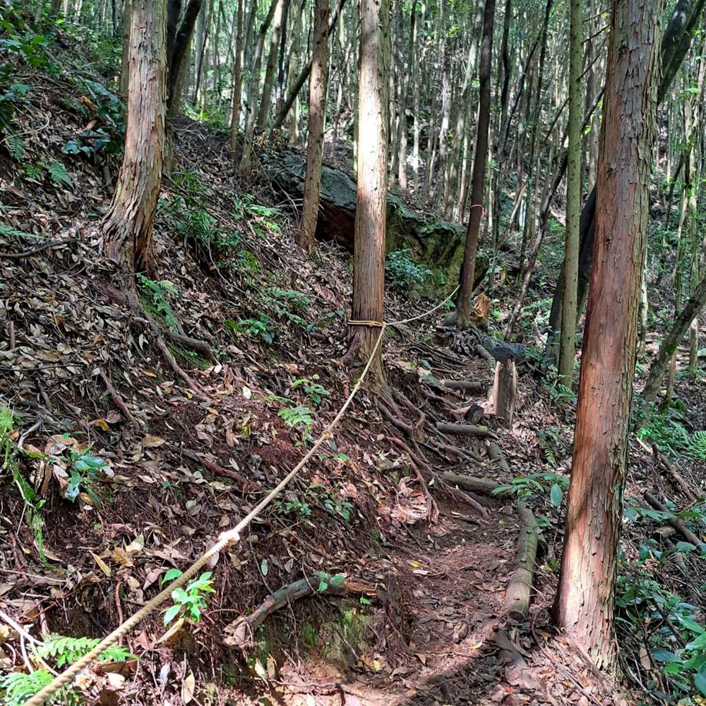 遠見山見晴らし岩岐阜のグランドキャニオン (1)、７月夏、岐阜県加茂郡の観光・撮影スポットの名所