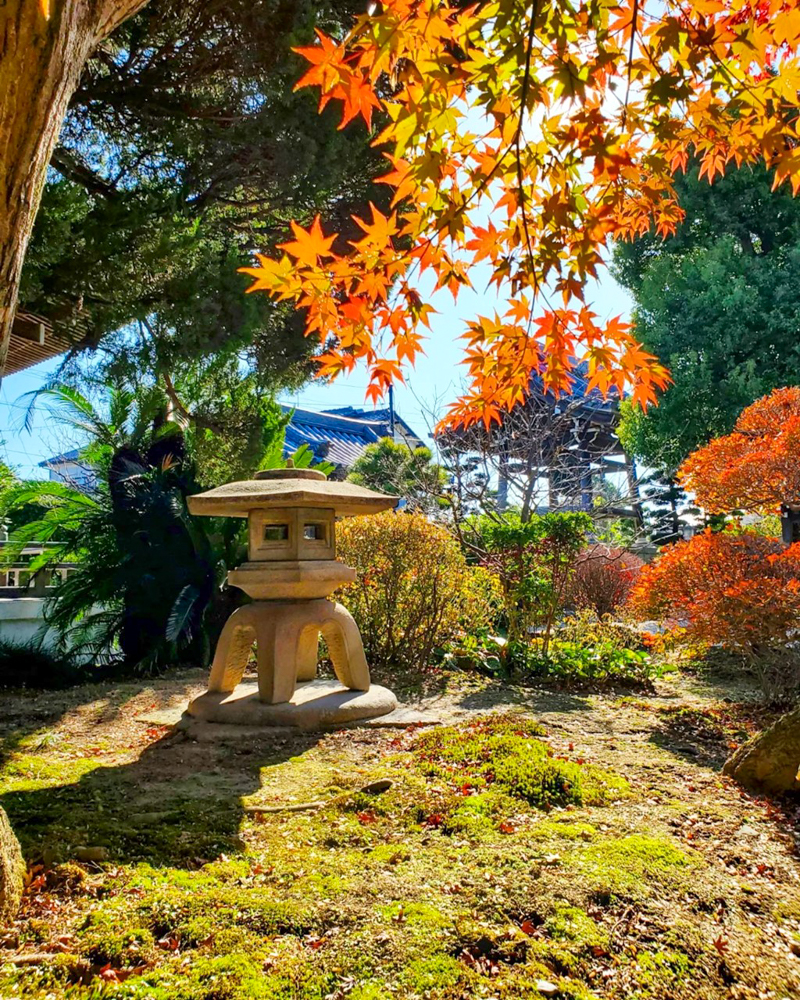 野見山明蔵寺 、紅葉、11月秋、愛知県稲沢市の観光・撮影スポットの画像と写真