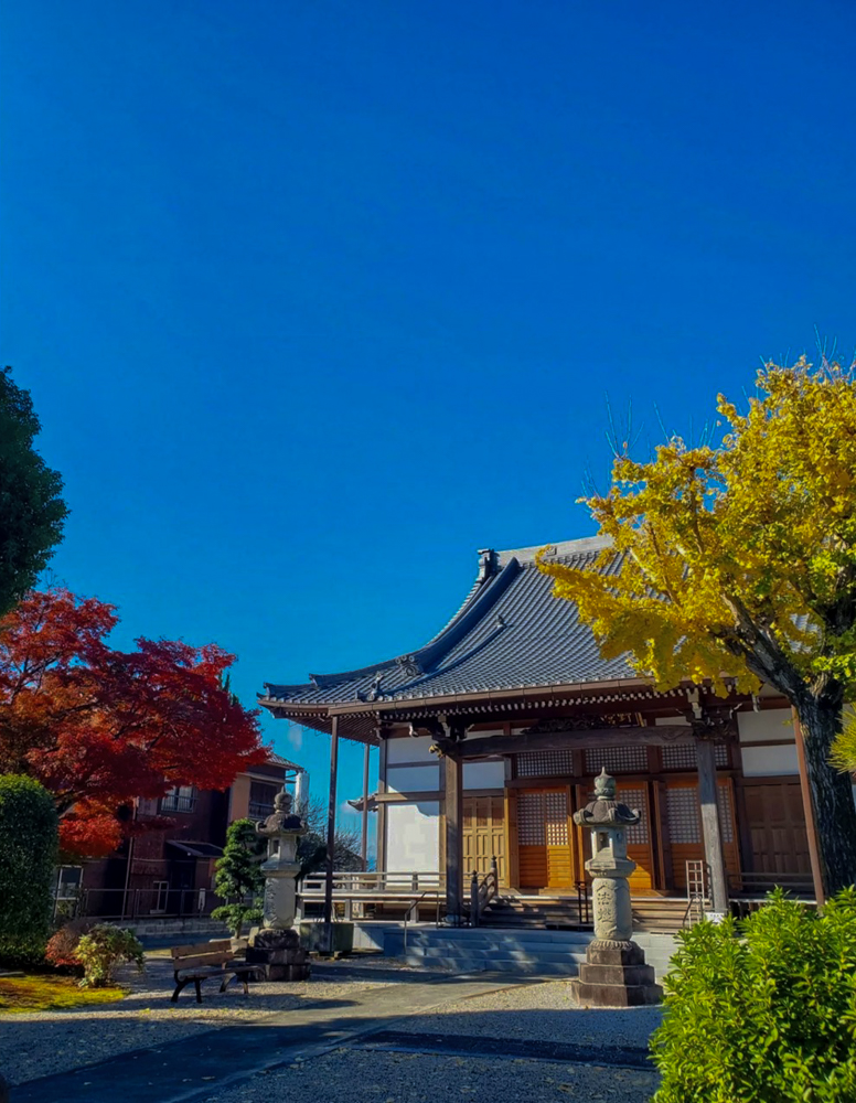 野見山明蔵寺 、紅葉、11月秋、愛知県稲沢市の観光・撮影スポットの画像と写真