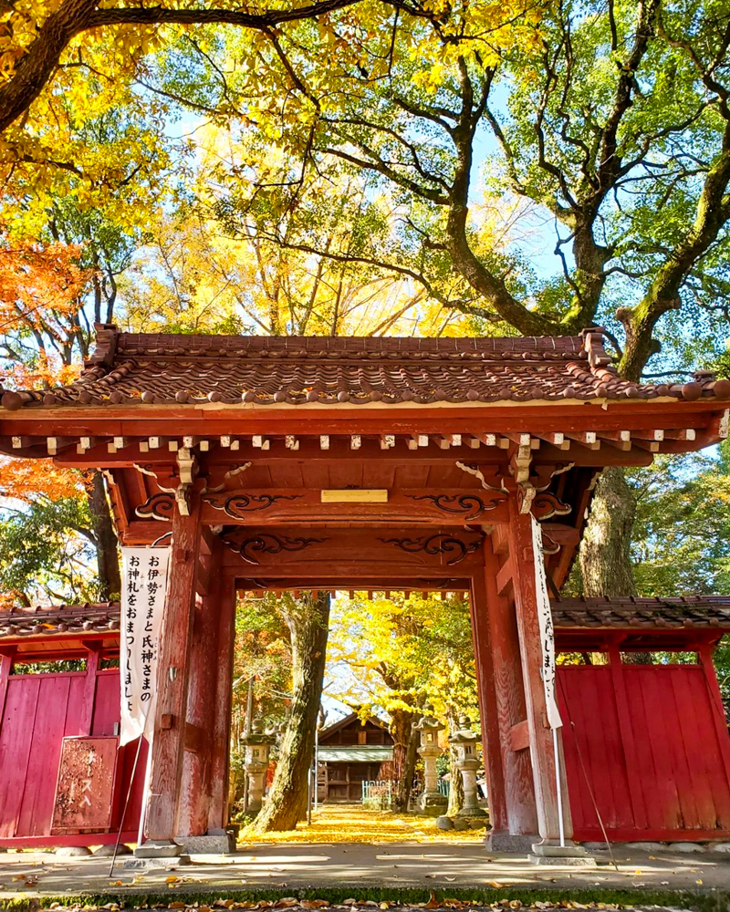 鞆江神社、紅葉、11月の花、愛知県一宮市の観光・撮影スポットの画像と写真