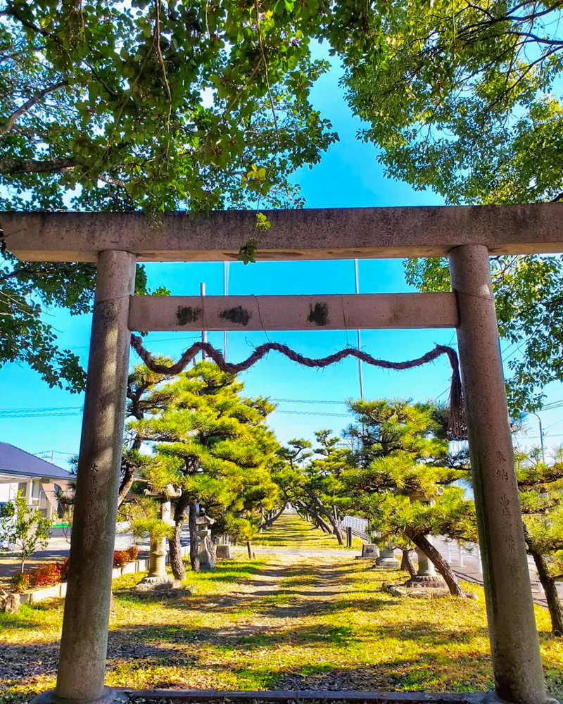 鞆江神社、紅葉、11月の花、愛知県一宮市の観光・撮影スポットの画像と写真