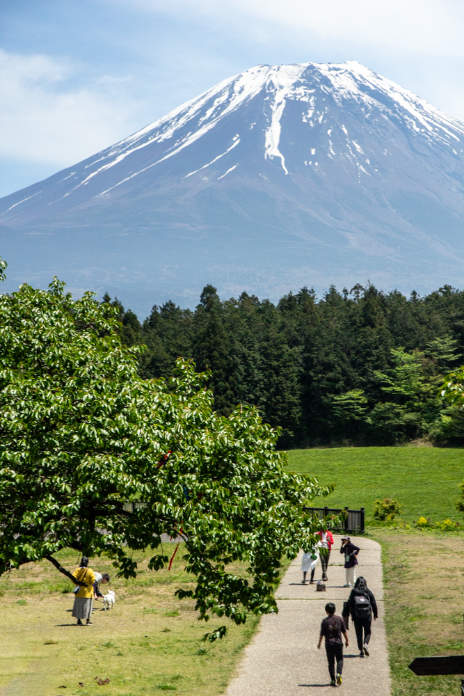 道の駅・朝霧高原 、富士山、5月夏、静岡県富士宮市の観光・撮影スポットの名所