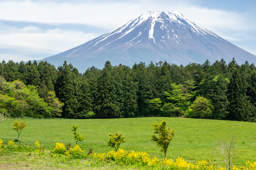 道の駅・朝霧高原 、富士山、5月夏、静岡県富士宮市の観光・撮影スポットの名所