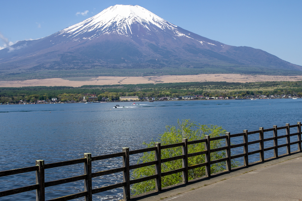 長池親水公園、富士山　山中湖 、5月夏、山梨県南都留郡の観光・撮影スポットの名所