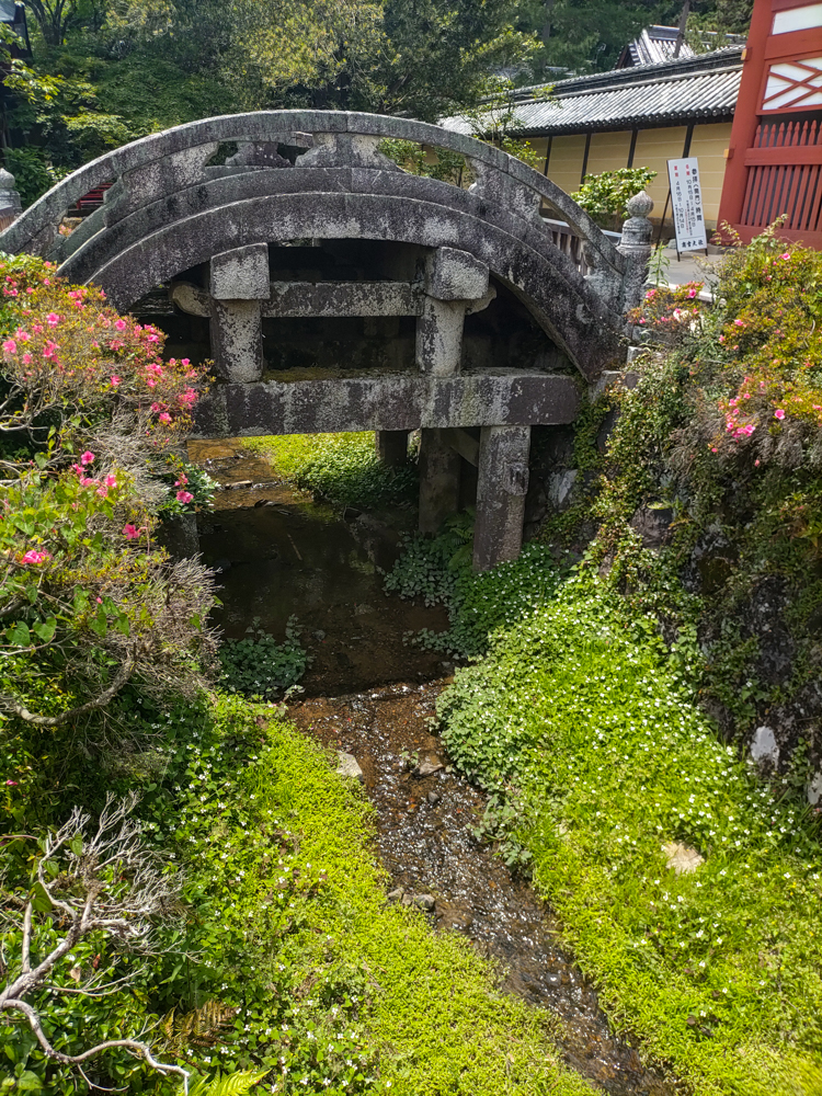 南宮大社、6月夏、岐阜県不破郡の観光・撮影スポットの画像と写真