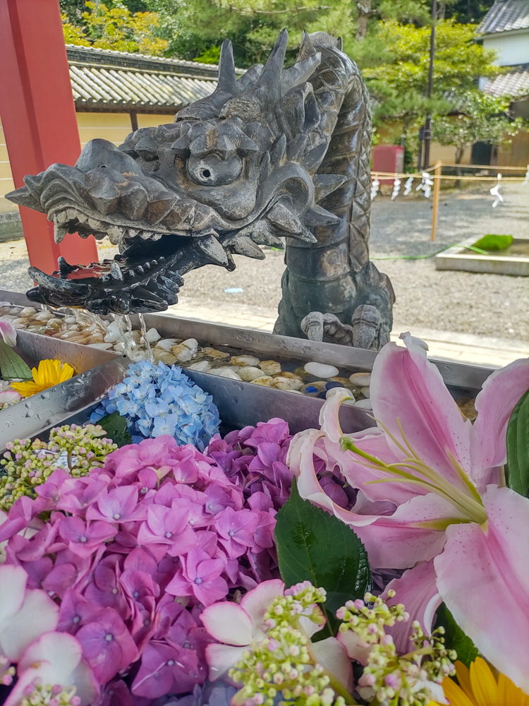 南宮大社、花手水舎）あじさい、6月夏の花、岐阜県不破郡の観光・撮影スポットの画像と写真