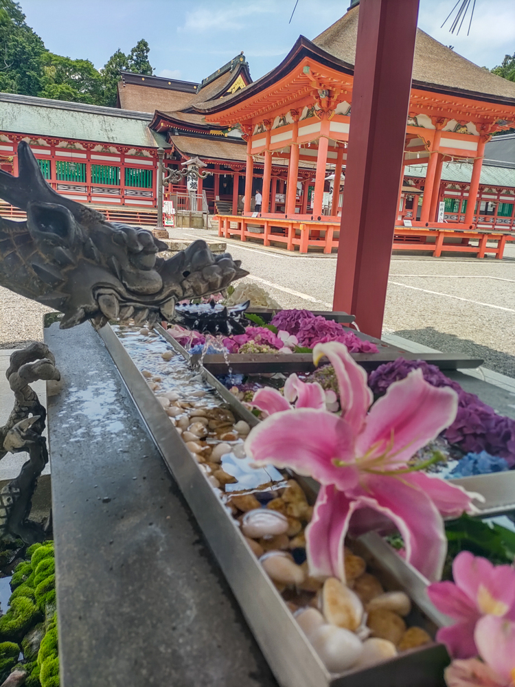 南宮大社、花手水舎）あじさい、6月夏の花、岐阜県不破郡の観光・撮影スポットの画像と写真