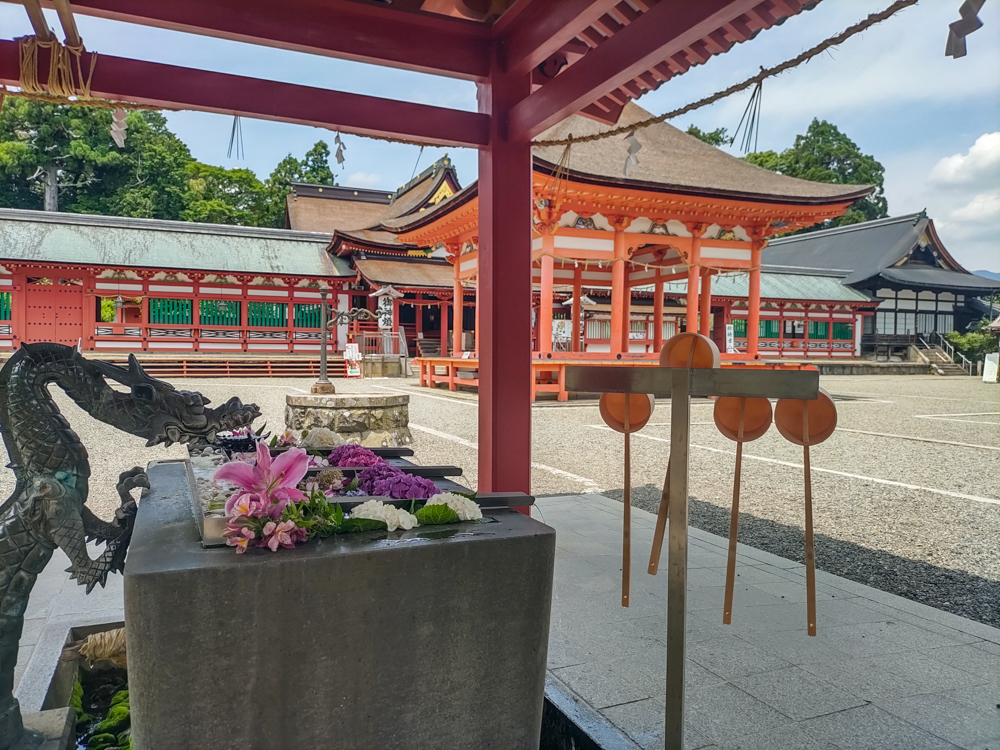 南宮大社、あじさい、6月夏の花、岐阜県不破郡の観光・撮影スポットの画像と写真