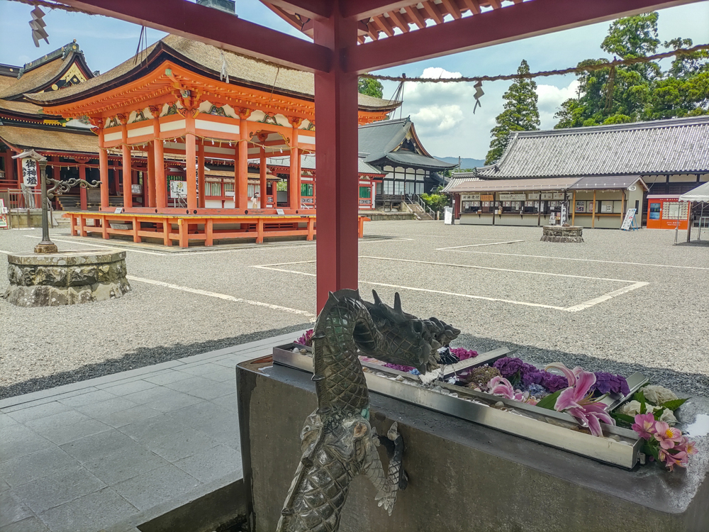 南宮大社、花手水舎）あじさい、6月夏の花、岐阜県不破郡の観光・撮影スポットの画像と写真