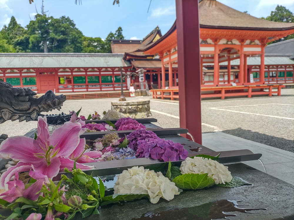 南宮大社、花手水舎）あじさい、6月夏の花、岐阜県不破郡の観光・撮影スポットの画像と写真