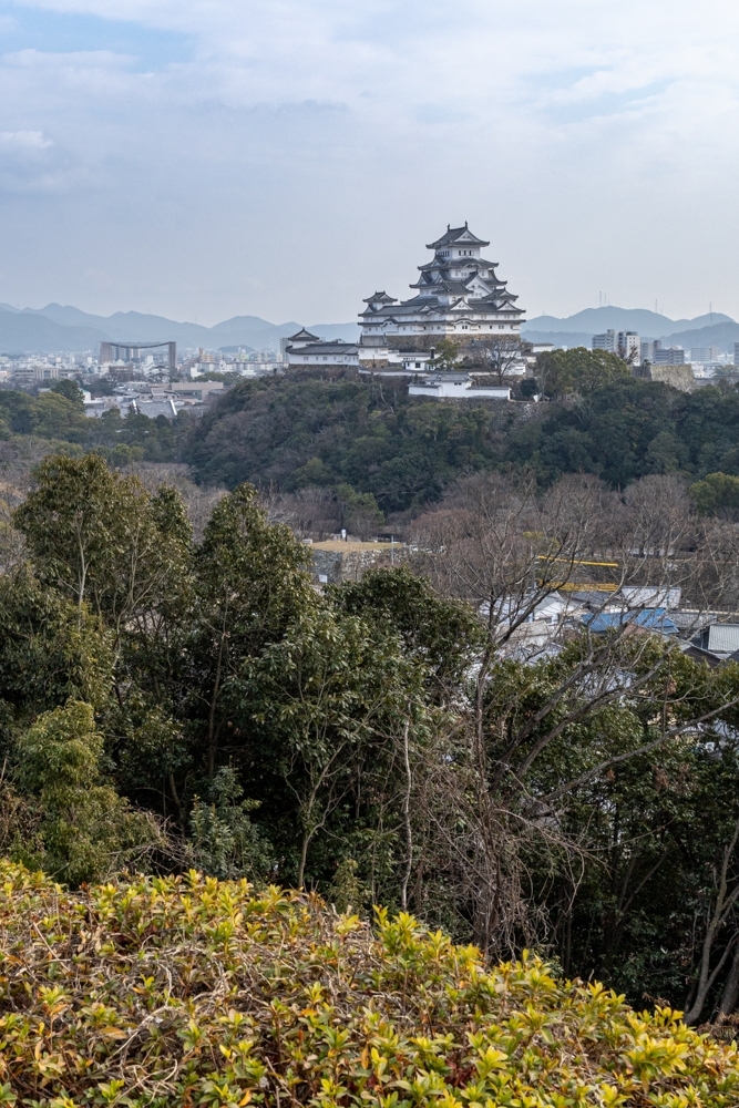 姫路城、男山配水池公園、１月冬、兵庫県姫路市の観光・撮影スポット