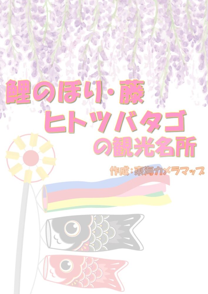 東海地方の名所・鯉のぼり・藤