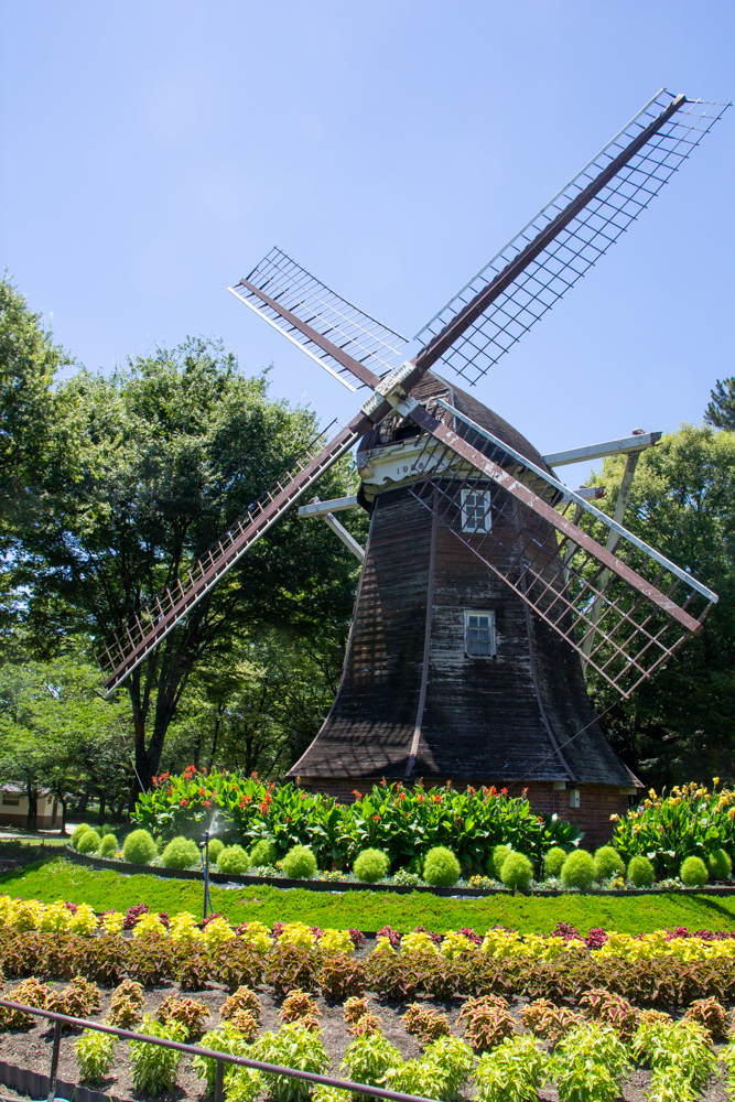 名城公園　7月の夏の花　名古屋市北区の観光・撮影スポットの画像と写真