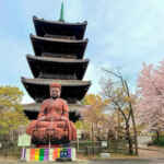 八事山興正寺、名古屋市昭和区八事の観光・撮影スポットの画像や写真