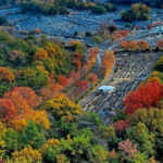 平和公園アクアタワー、名古屋市平和公園、紅葉、11月秋、名古屋市千種区の観光・撮影スポットの名所