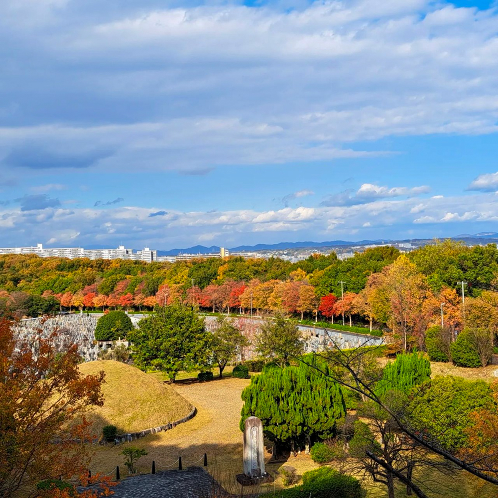 名古屋市平和公園、紅葉、11月秋、名古屋市千種区の観光・撮影スポットの名所