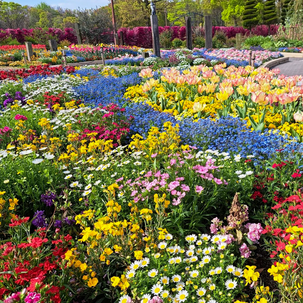 名城公園、4月の春の花、名古屋市北区の観光・撮影スポットの画像と写真"