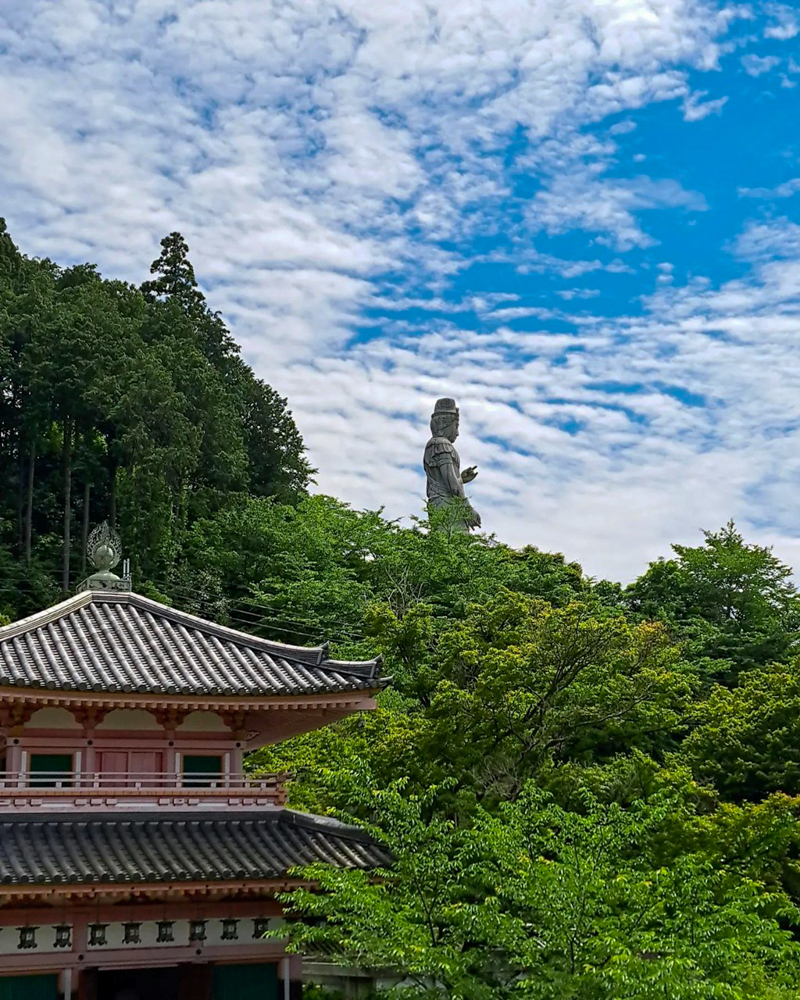 壷阪寺、奈良県高市郡高取町の観光・撮影スポットの名所