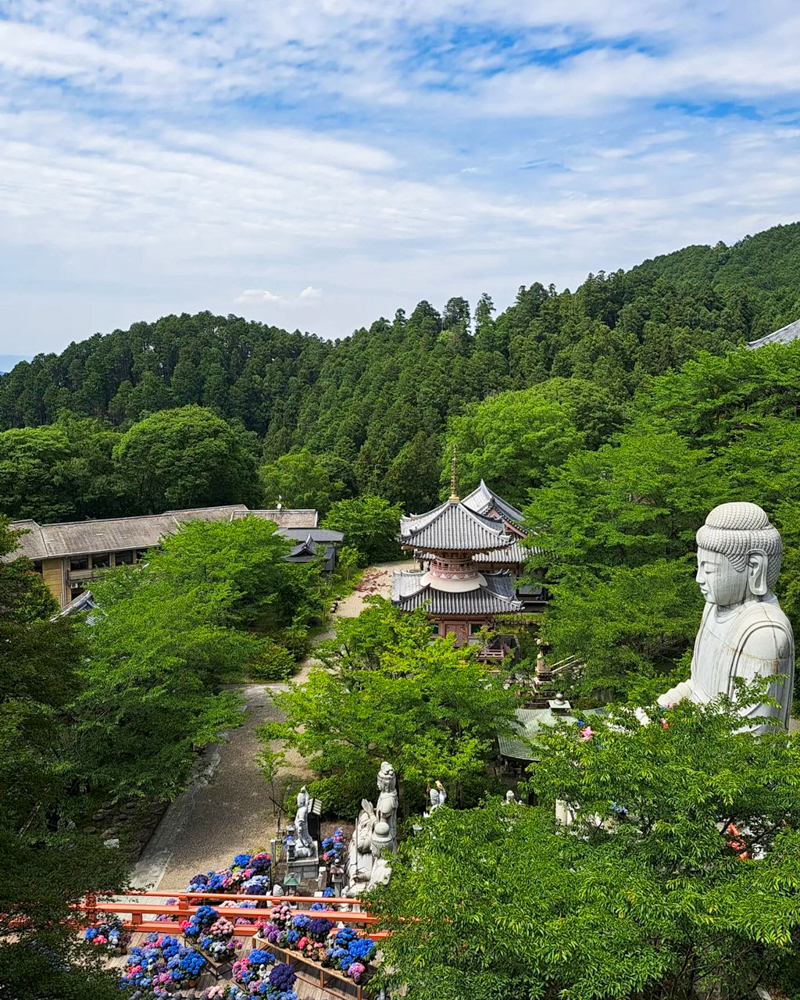 壷阪寺、奈良県高市郡高取町の観光・撮影スポットの名所