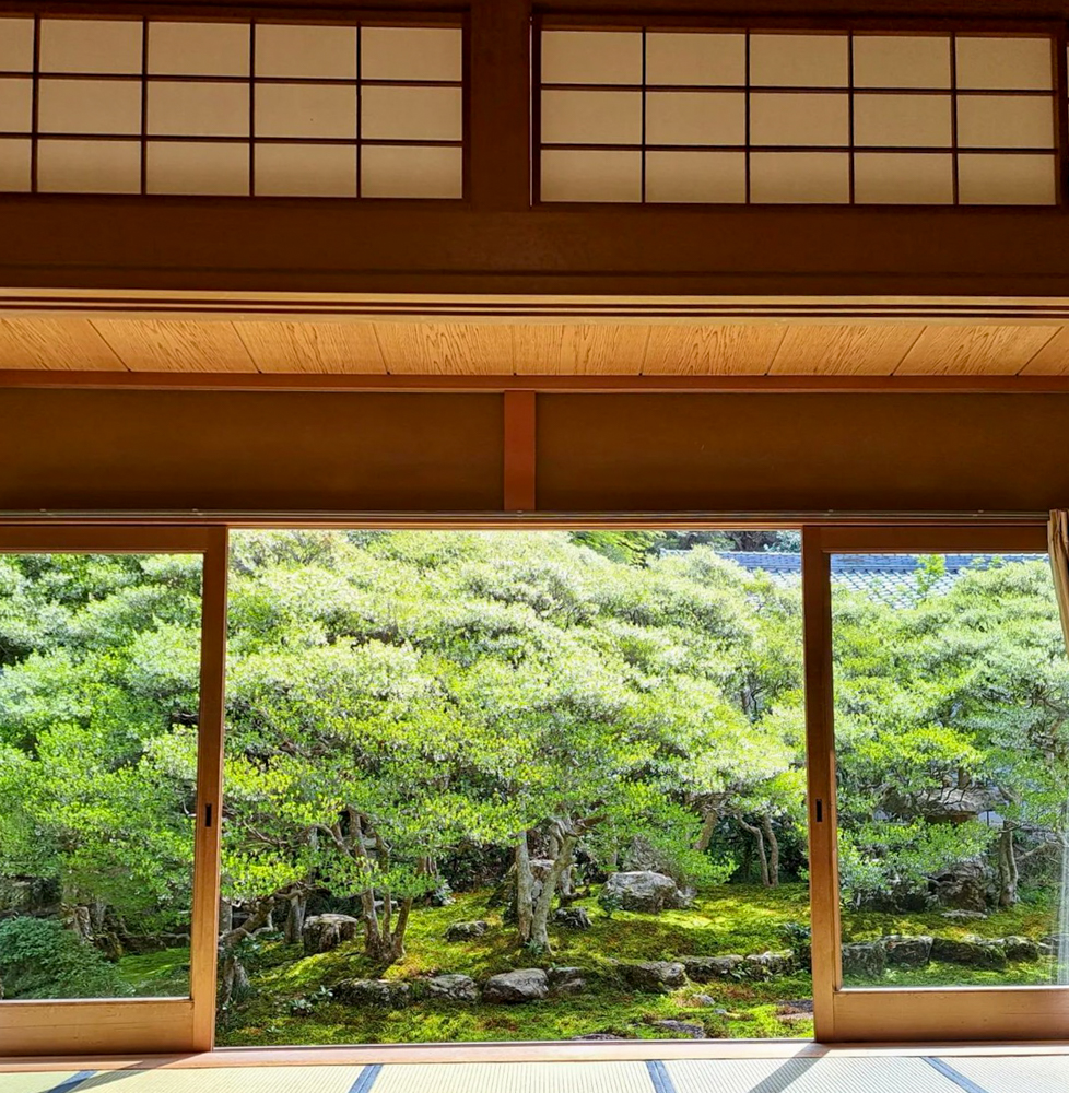 岐阜大龍寺、どうだんつつじ、春の花一般公開、4月春の花、岐阜県岐阜市の観光・撮影スポットの名所