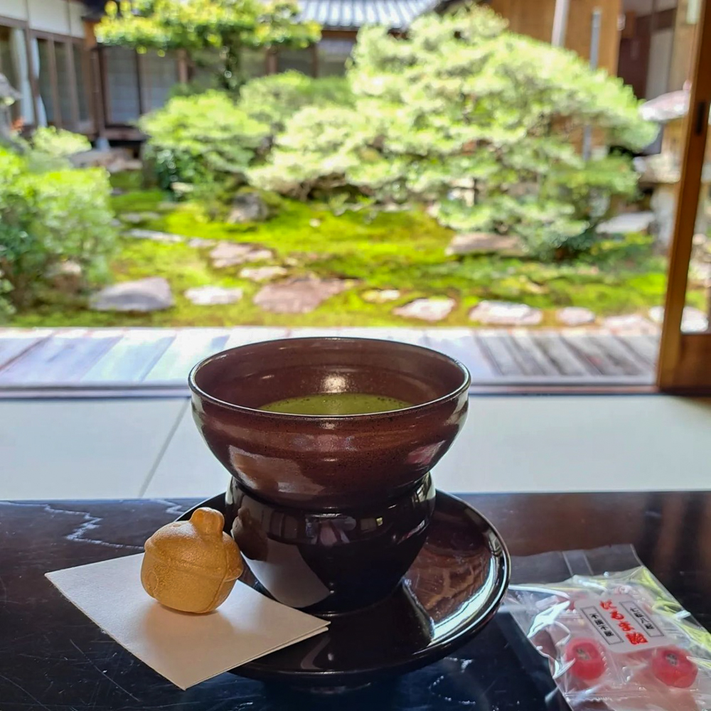 岐阜大龍寺、どうだんつつじ、春の花一般公開、4月春の花、岐阜県岐阜市の観光・撮影スポットの名所