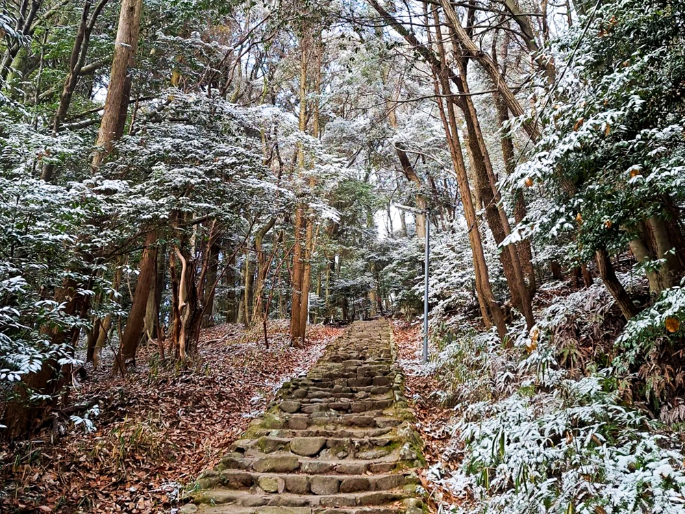 尾張部神社 、名古屋市守山区の観光・撮影スポットの名所