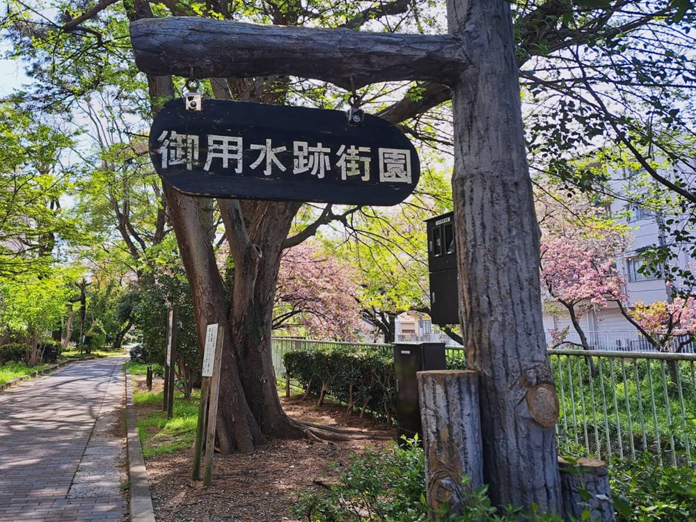 御用水跡街園、4月の春の花、名古屋市北区の観光・撮影スポットの名所