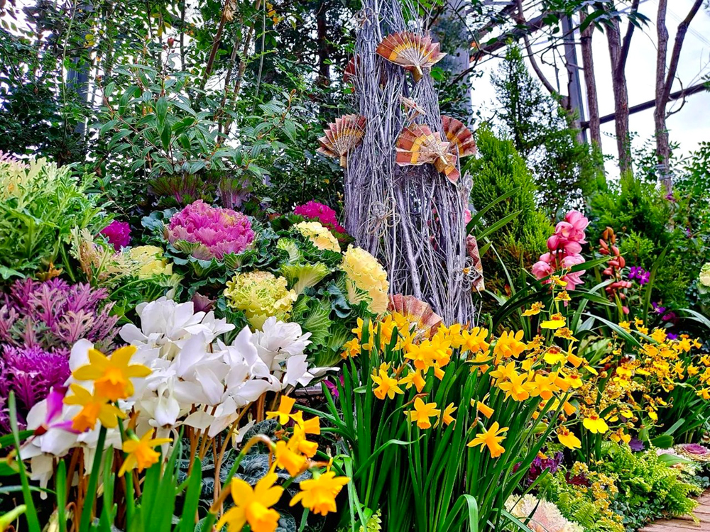 春日井都市緑化植物園、温室、1月冬の花、愛知県春日井市の観光・撮影スポットの名所