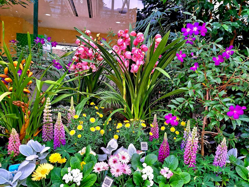 春日井都市緑化植物園、温室、1月冬の花、愛知県春日井市の観光・撮影スポットの名所