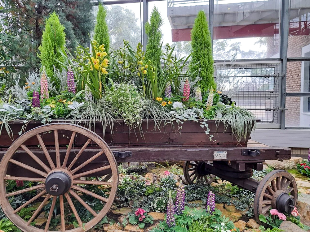 春日井都市緑化植物園、温室、1月冬の花、愛知県春日井市の観光・撮影スポットの名所