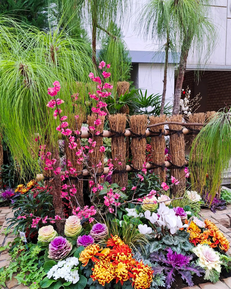 春日井都市緑化植物園、温室、1月冬の花、愛知県春日井市の観光・撮影スポットの名所