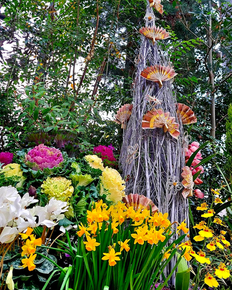 春日井都市緑化植物園、1月冬の花、愛知県春日井市の観光・撮影スポットの名所