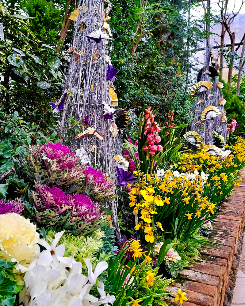 春日井都市緑化植物園、温室、1月冬の花、愛知県春日井市の観光・撮影スポットの名所