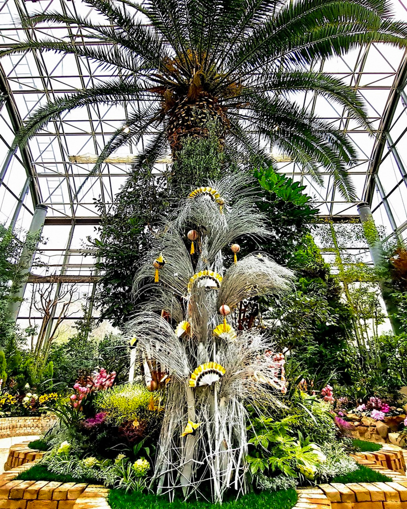 春日井都市緑化植物園、温室、1月冬の花、愛知県春日井市の観光・撮影スポットの名所