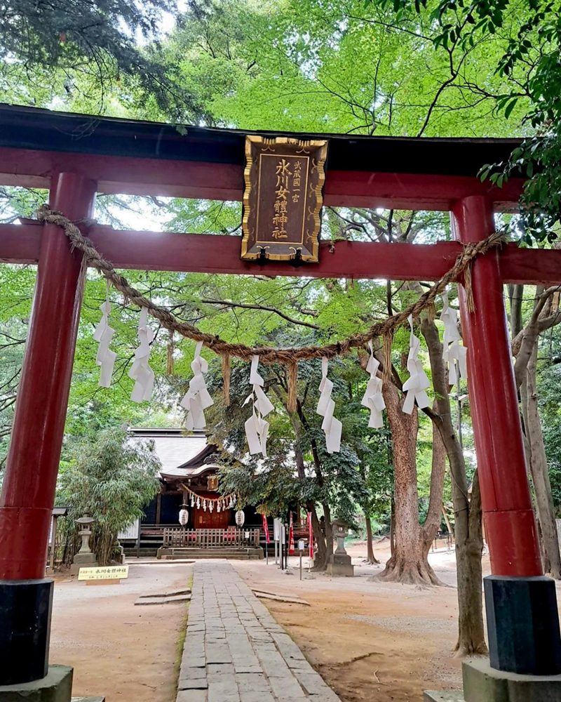 氷川女体神社、武蔵国一宮 （10月）埼玉県さいたま市の観光・撮影スポットの名所