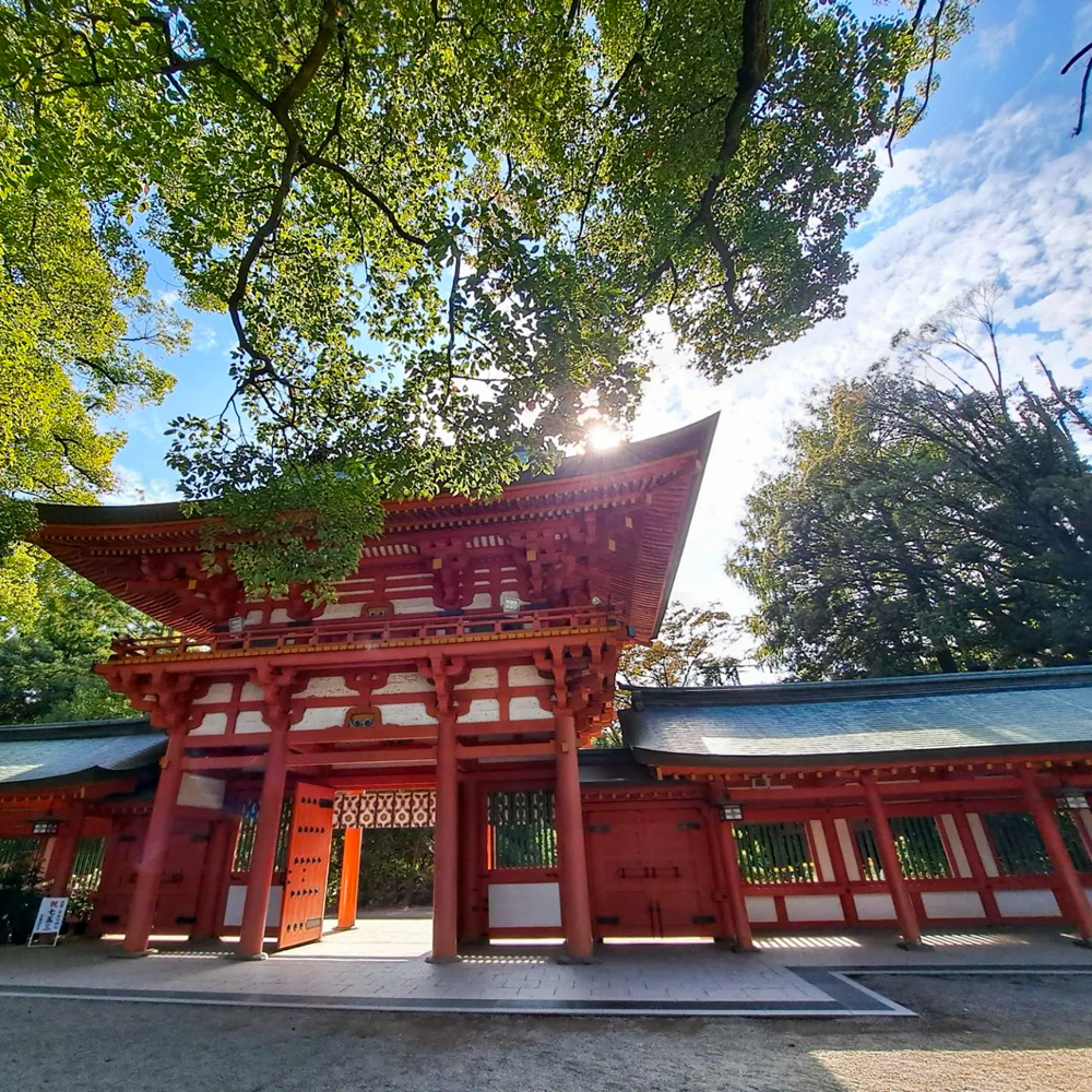 氷川女体神社、武蔵国一宮 （10月）埼玉県さいたま市の観光・撮影スポットの名所