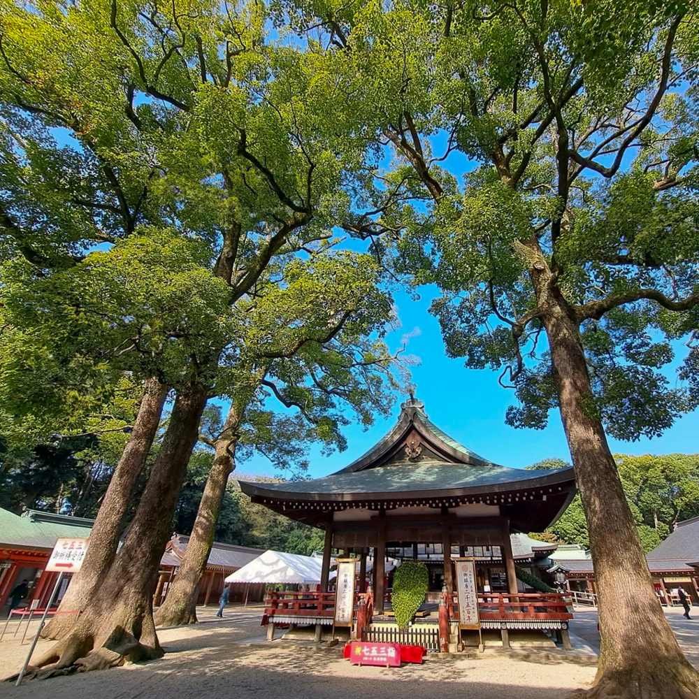 氷川女体神社、武蔵国一宮 （10月）埼玉県さいたま市の観光・撮影スポットの名所