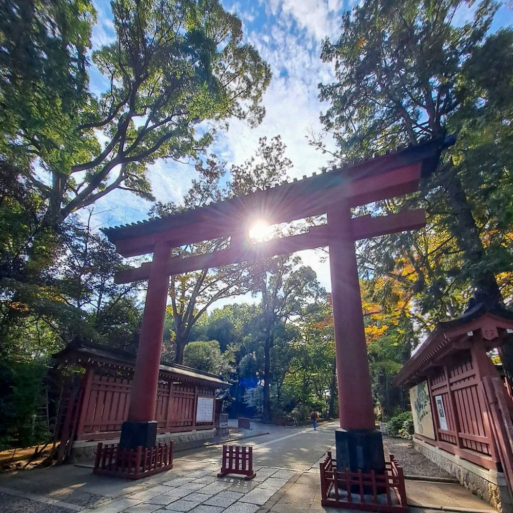 氷川女体神社、武蔵国一宮 （10月）埼玉県さいたま市の観光・撮影スポットの名所