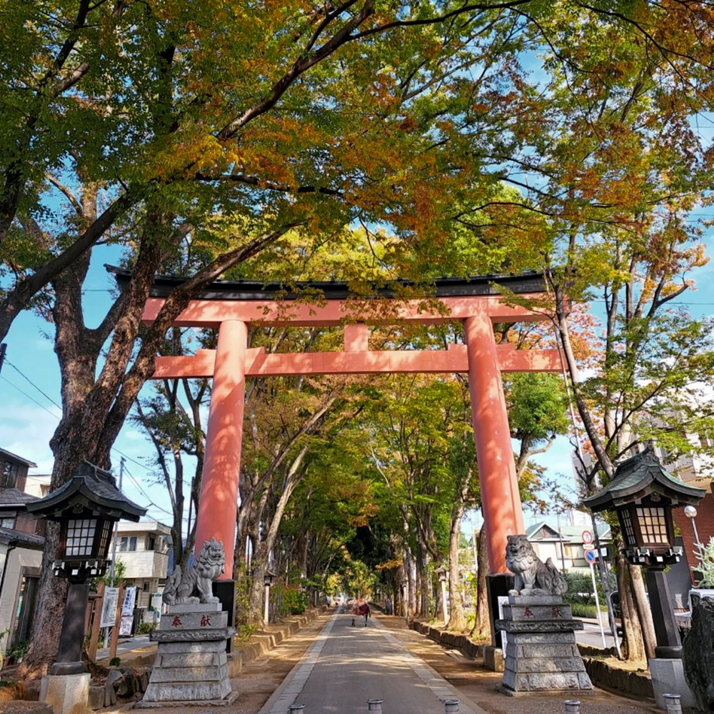 氷川女体神社、武蔵国一宮 （10月）埼玉県さいたま市の観光・撮影スポットの名所