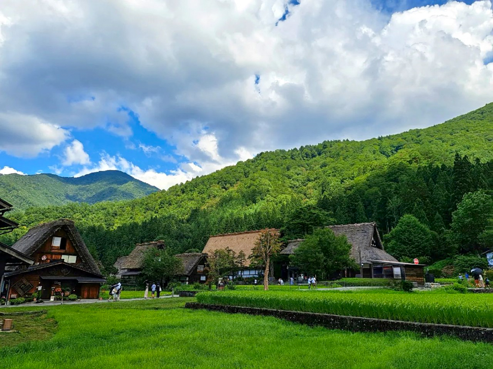 白川郷合掌造り集落、新緑・夏景色、７月夏、岐阜県大野郡の観光・撮影スポットの画像と写真